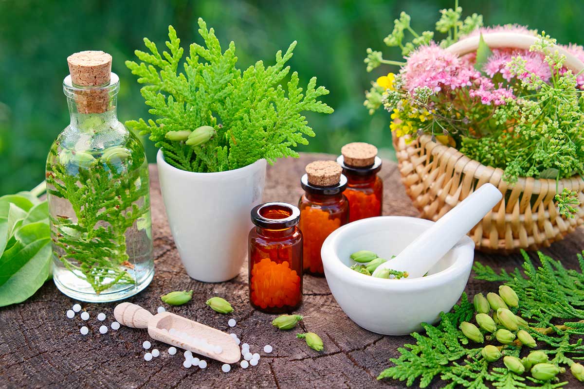 Global Herbal Medicinal Products Industry