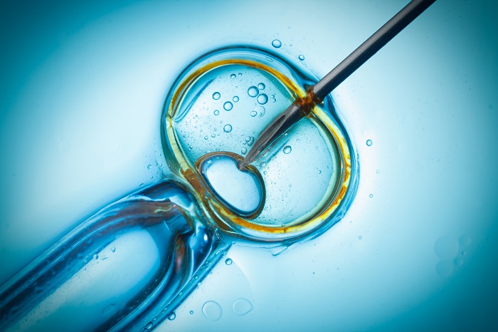 In Vitro Fertilization Banking Services Market