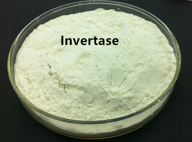 Invertase Market1