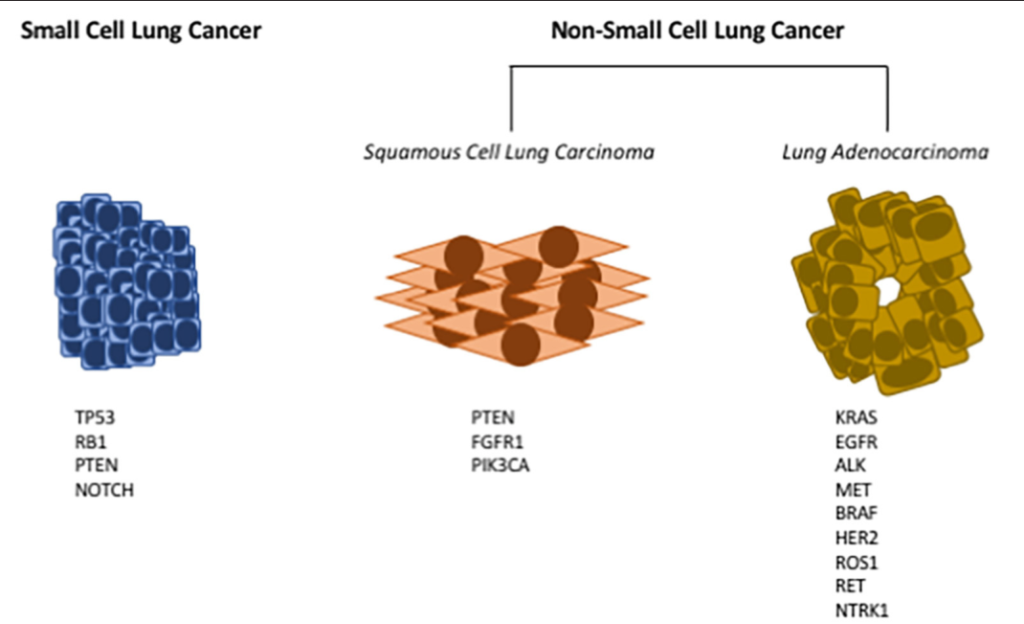 PD1 Non-Small Cell Lung Cancer Treatment Industry