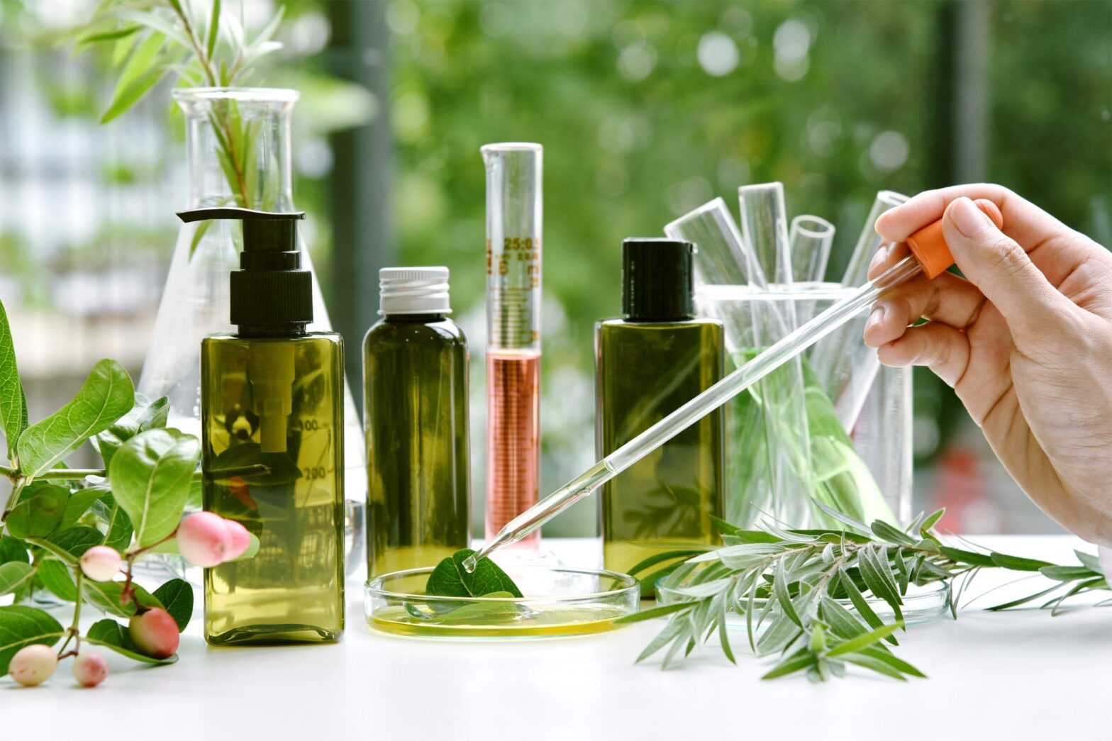 Personal Care Ingredients Market