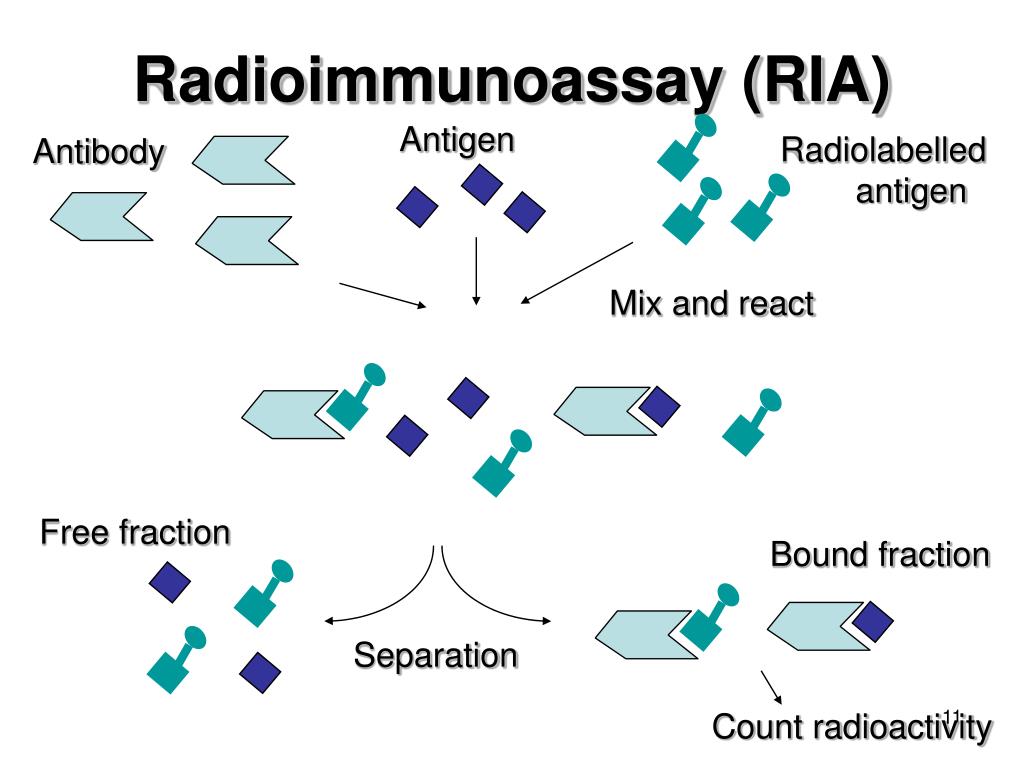 Radioimmunoassay Industry