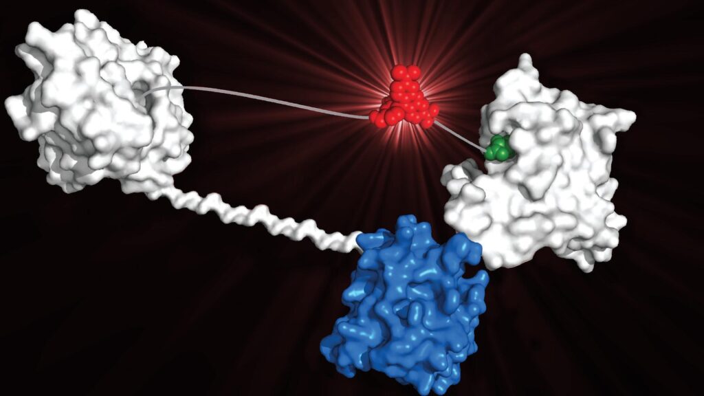 Small Molecule CMO-CDMO Industry