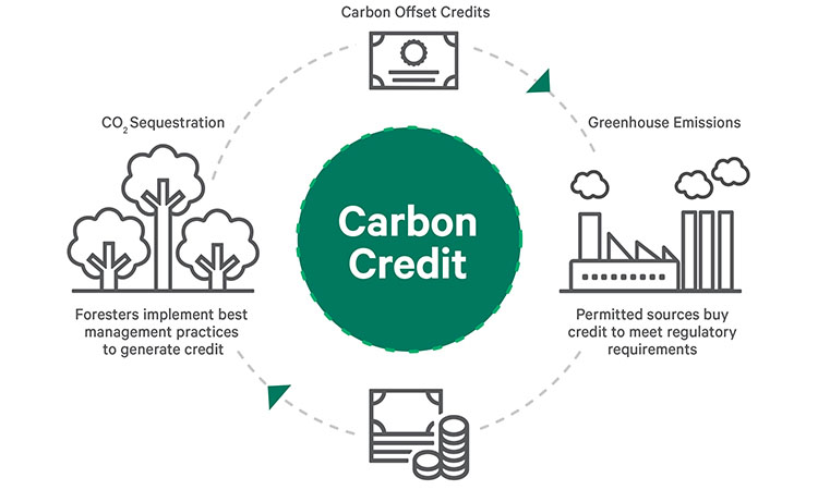 Carbon Offset Platform Market