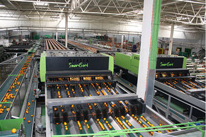 Sorter Machines Market