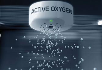 Active Oxygens Market 