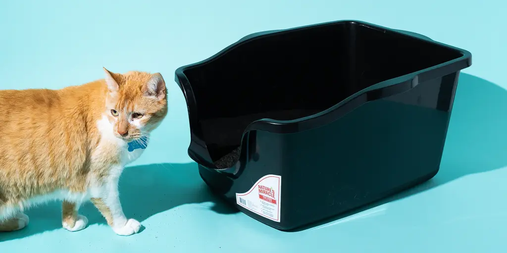 Cat Litter Product Market
