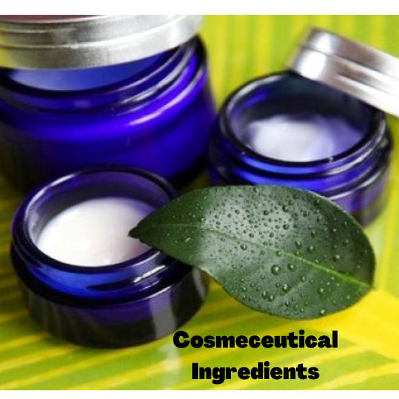 Cosmeceutical Ingredients Market