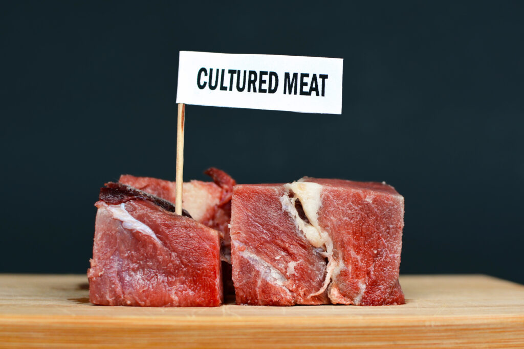 cultured meat market