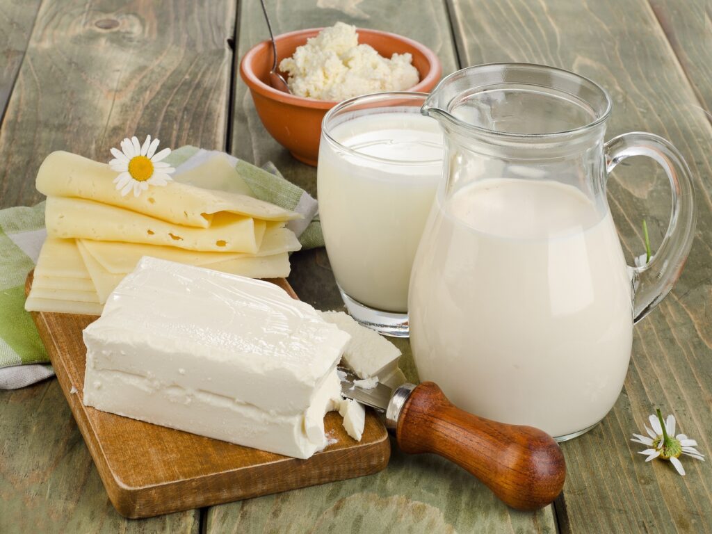 Dairy Ingredients Market