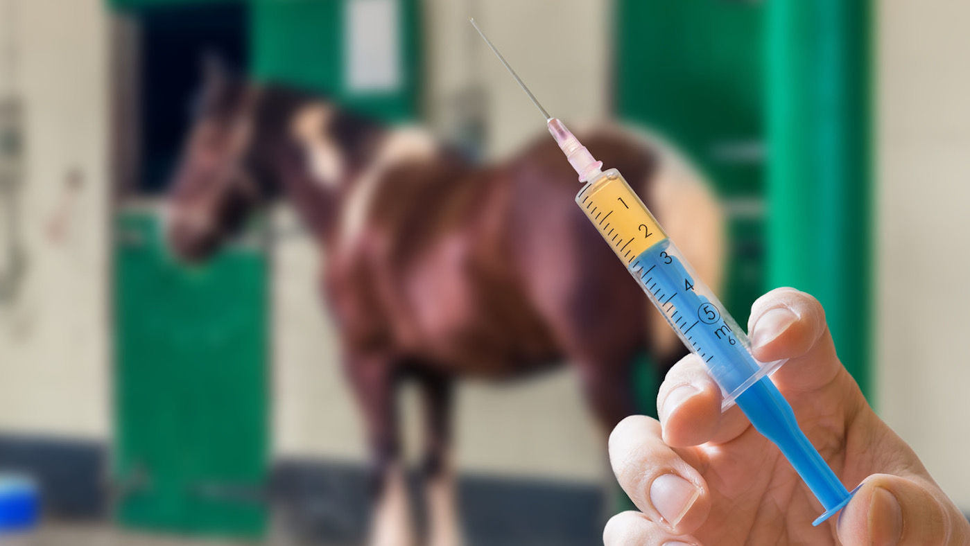 Global Equine Veterinary Therapeutics Industry