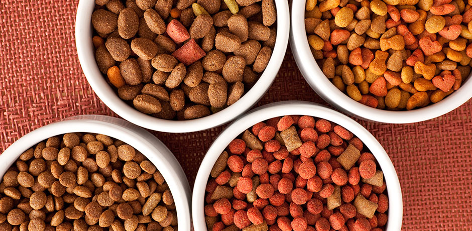 Freeze Dried Pet Food Market