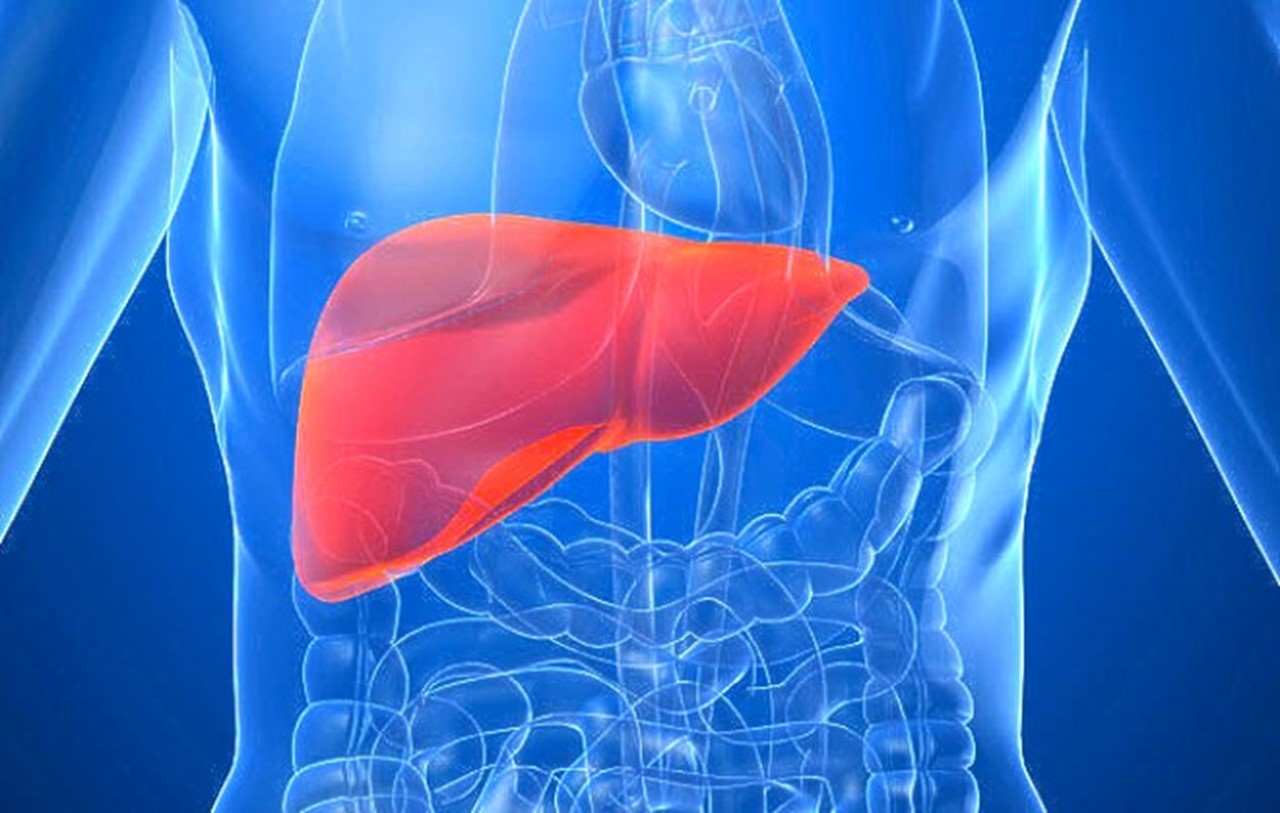 Global Alcoholic Hepatitis Treatment Industry