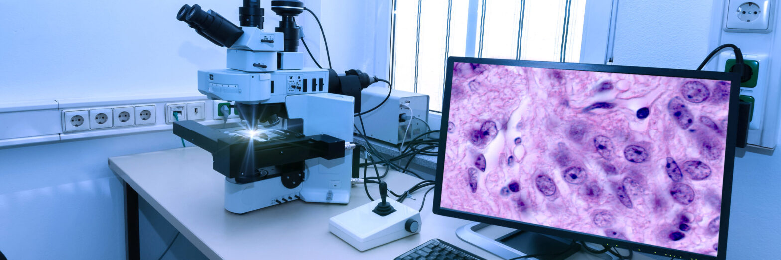 Global Pathology Imaging Systems Industry