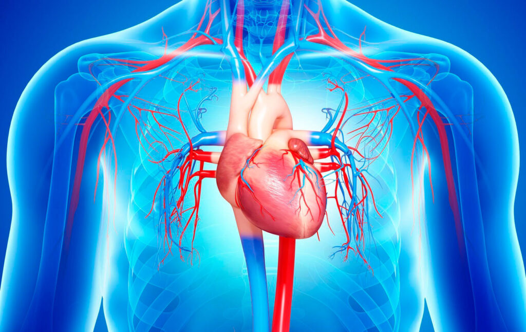 Global Rheumatic Heart Disease Management Industry