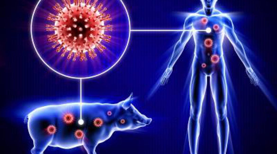 Global Swine Respiratory Diseases Treatment Industry