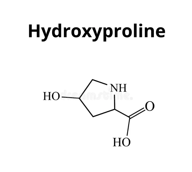 Hydroxyproline Market