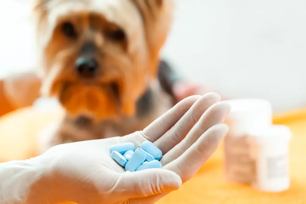 Over-the-Counter Veterinary Drugs Market