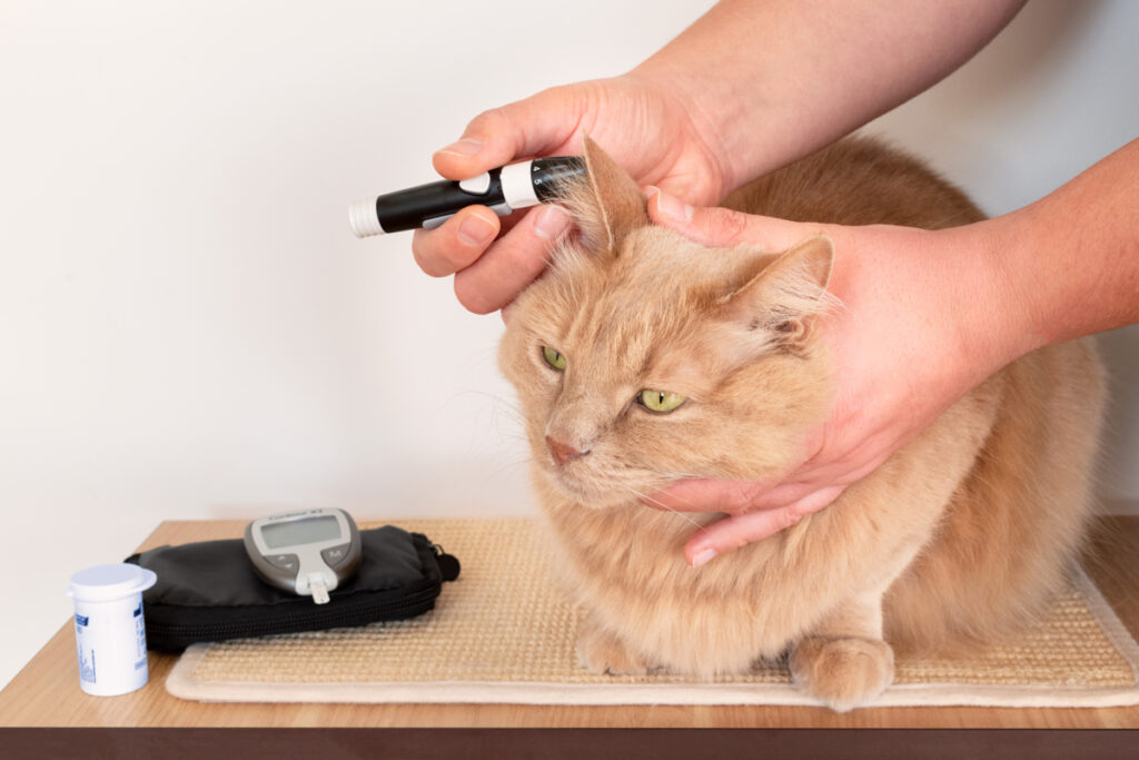 Pet diabetes Care Devices Market