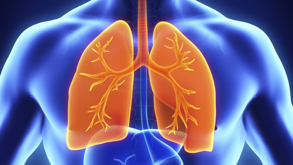 Pulmonary Fibrosis Biomarkers Market