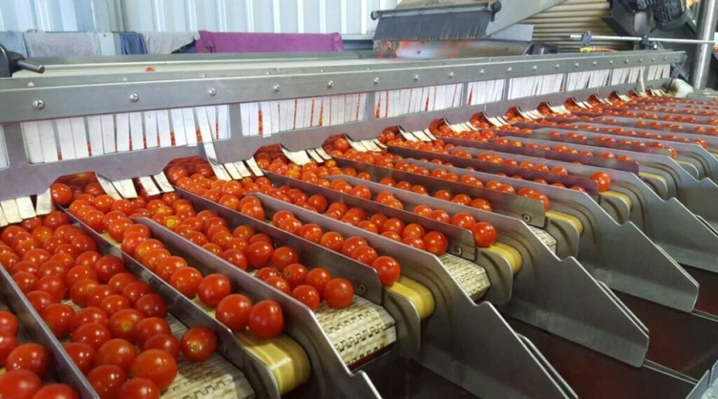 Vegetable Dicing Machines Market