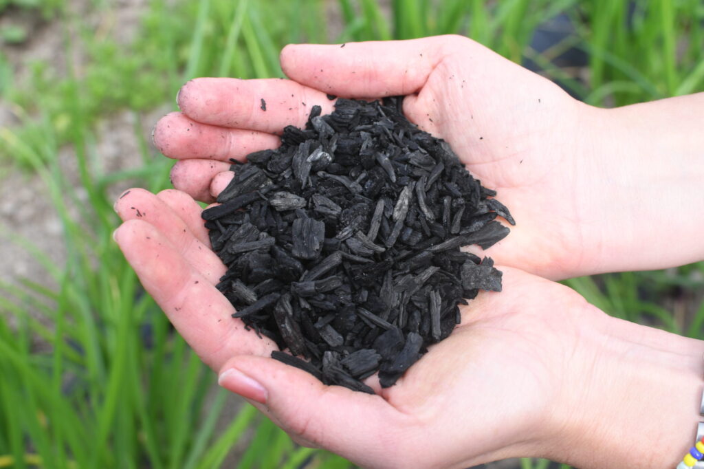 Biochar Fertilizer Market 