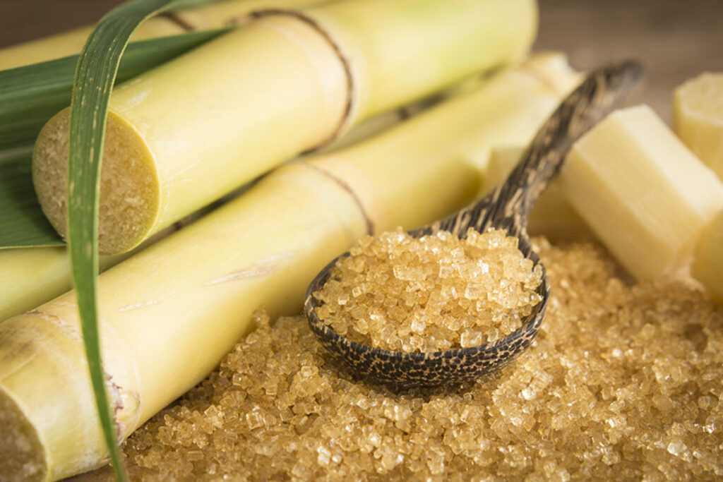 Cane Sugar Market 