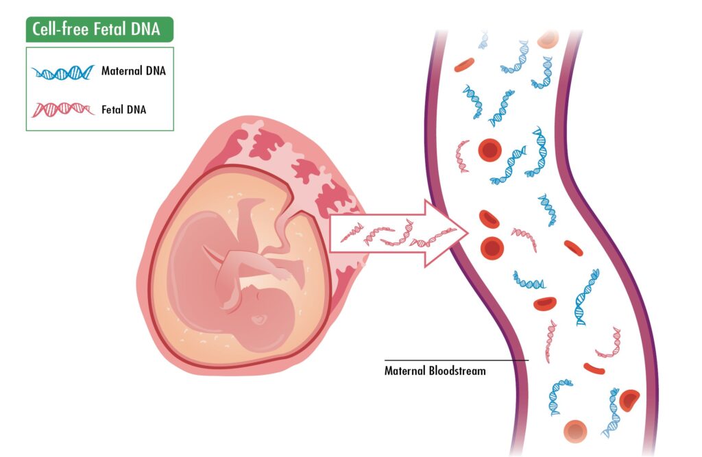 Cell-Free Fetal DNA Testing Market