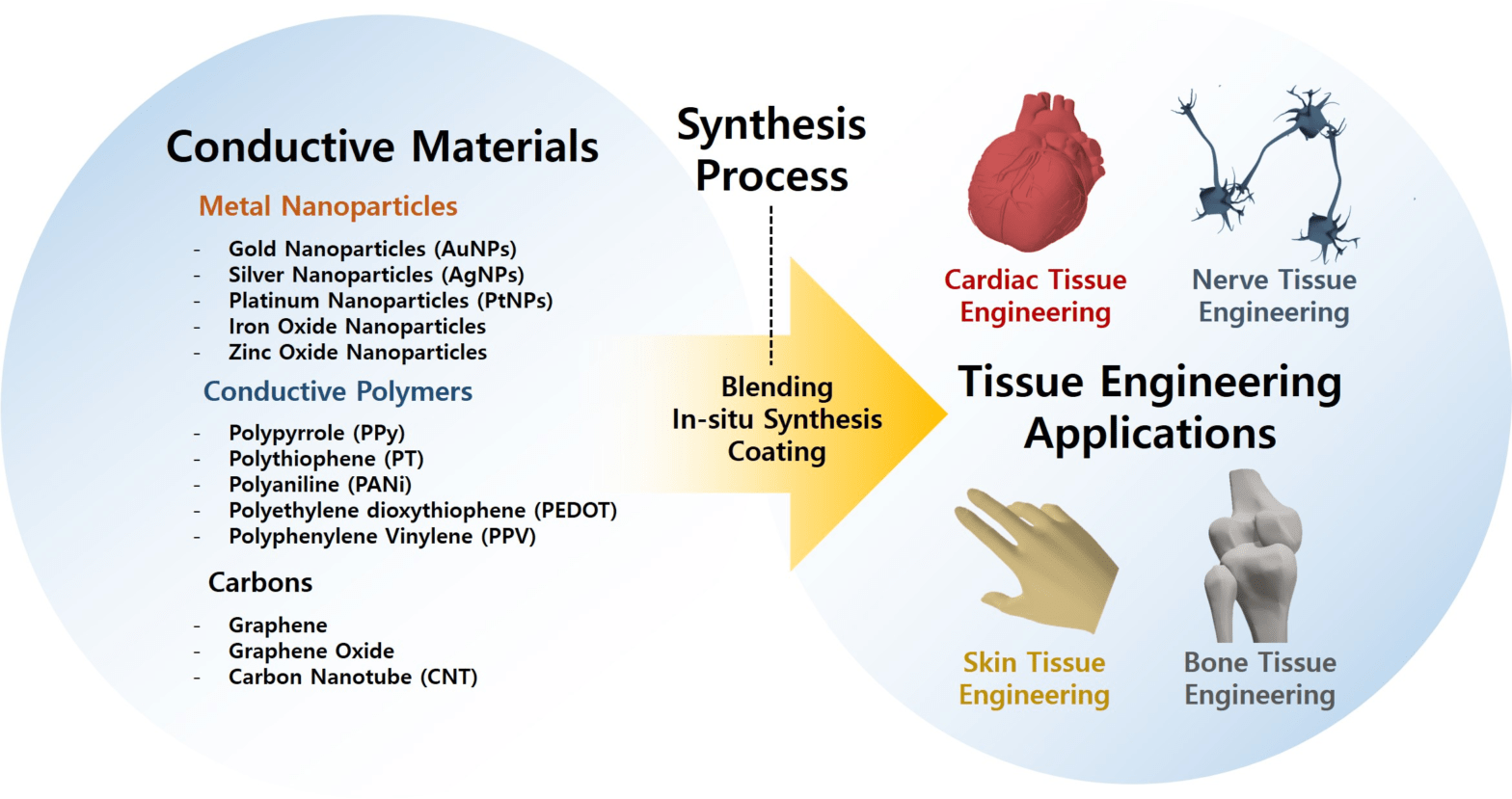 Conductive Polymer Coatings