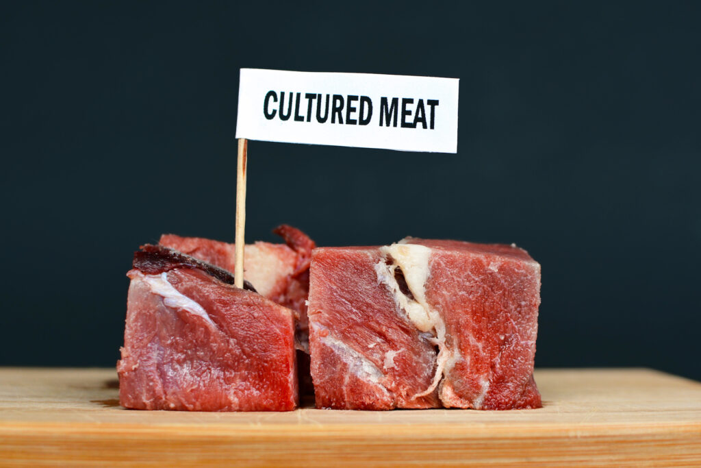 cultured meat market