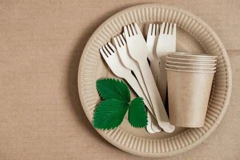 Eco-Friendly Paper Plates Market in Europe