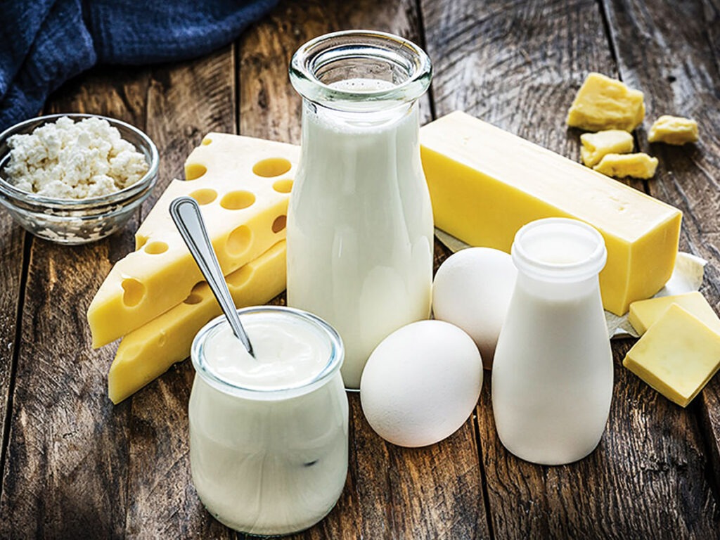 functional dairy products market