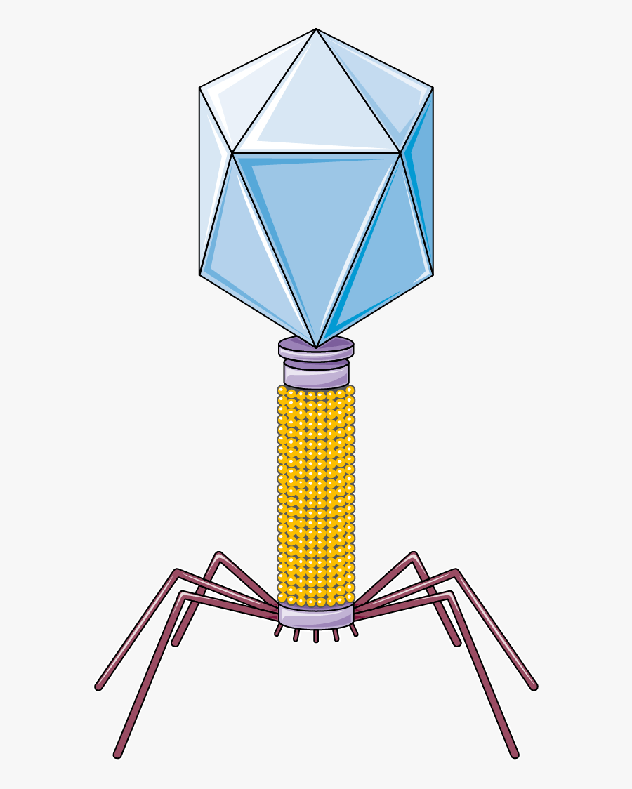 Global Bacteriophage Industry