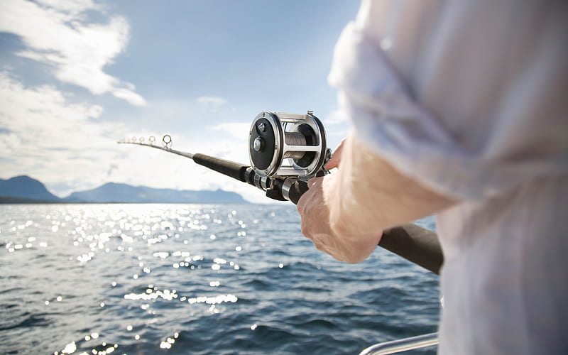 Fishing Reels Market