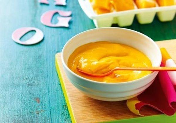 mango puree market