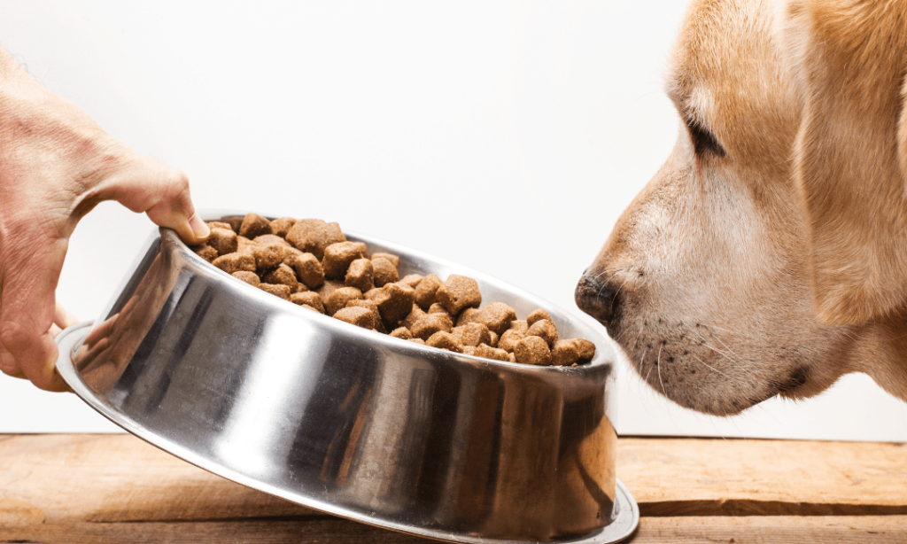 Dog Food Toppers Market