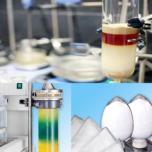 Preparative Chromatography Market