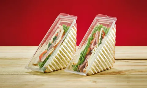 Sandwich Containers Market 