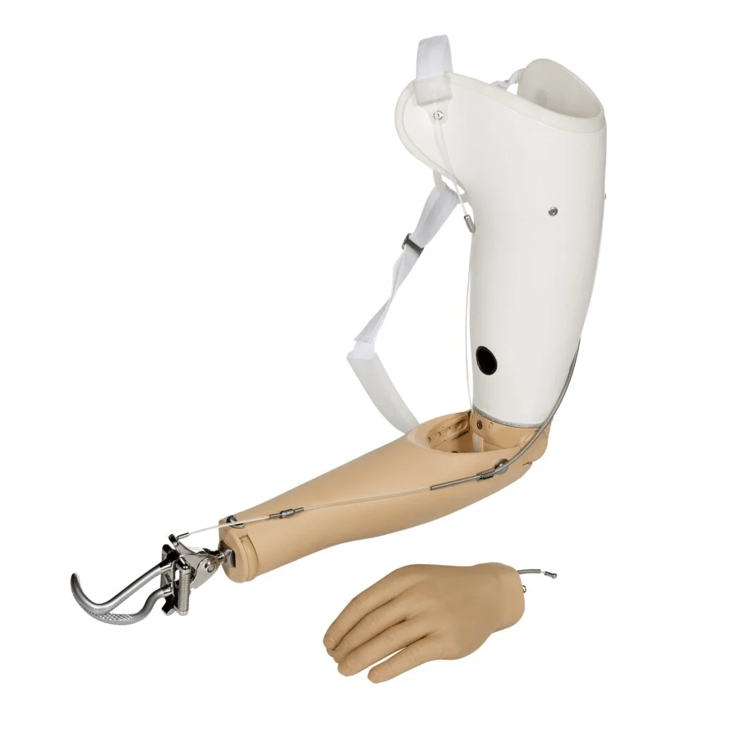 Upper Limb Prosthetic Market