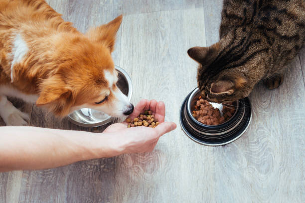 Cat & Dog Food Toppers Market