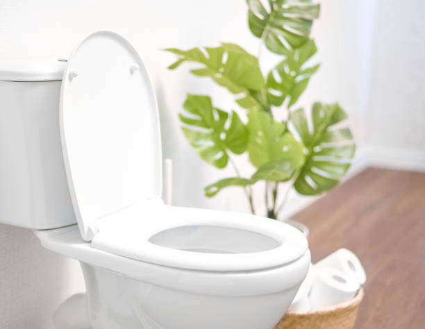 North America Toilet Seat Market