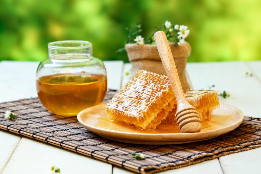 Dried Honey Market 