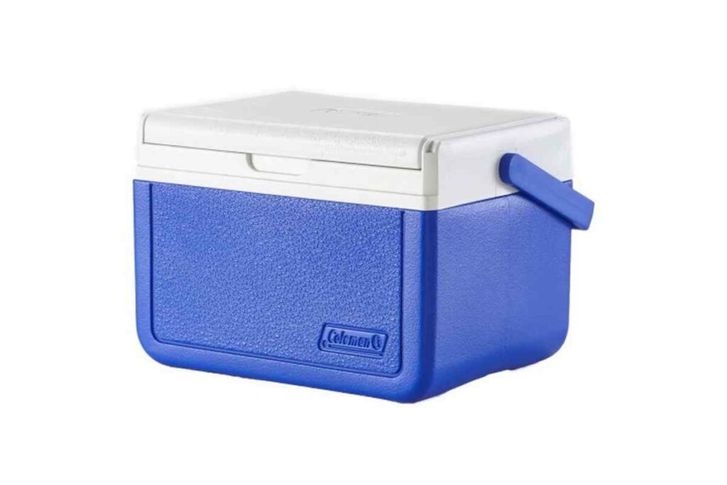 foam cooler box market