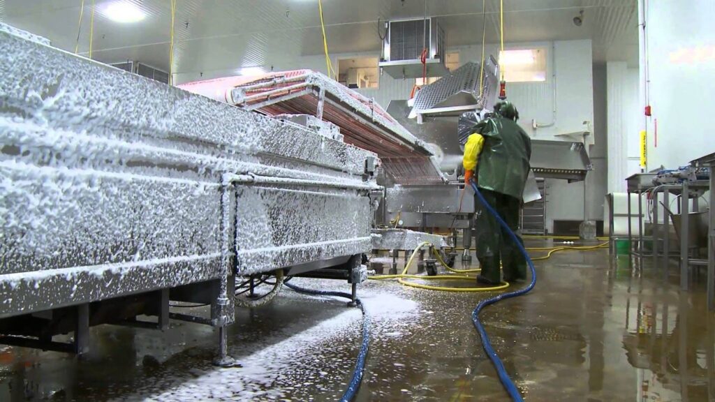 Food & Beverage Industrial Disinfection and Cleaning Market