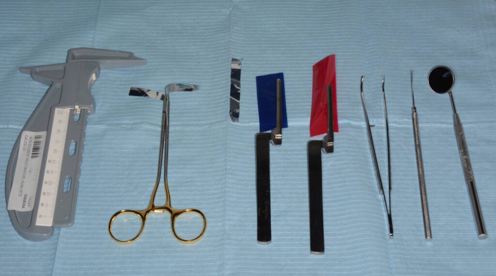 Global Articulating Paper Forceps Industry