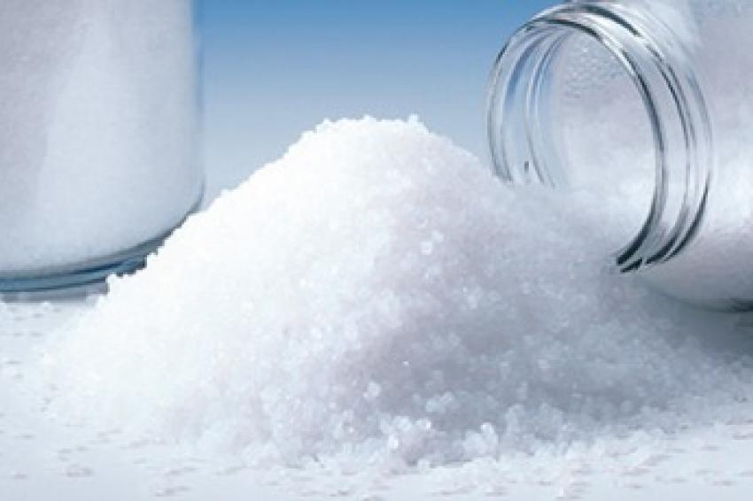 Global Caprolactam Industry