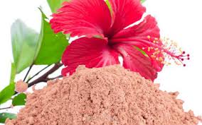 Hibiscus Flower Powder Market
