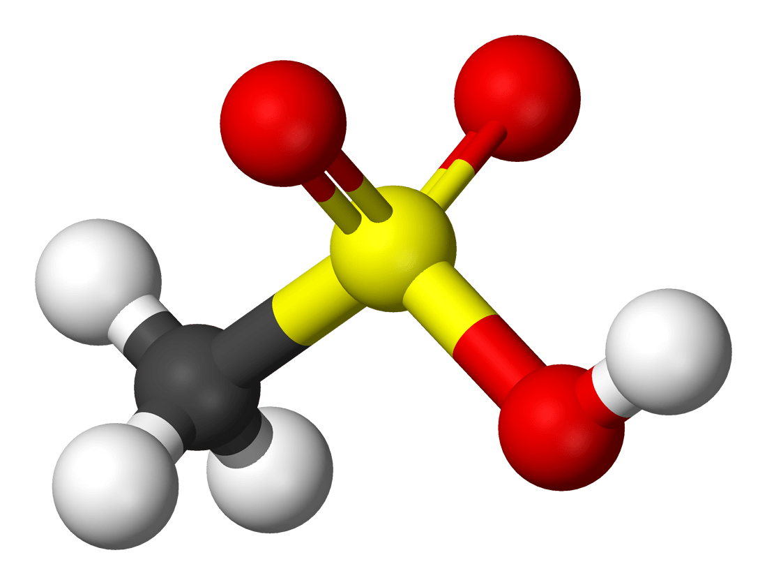 Methane Sulfonic Acid Market