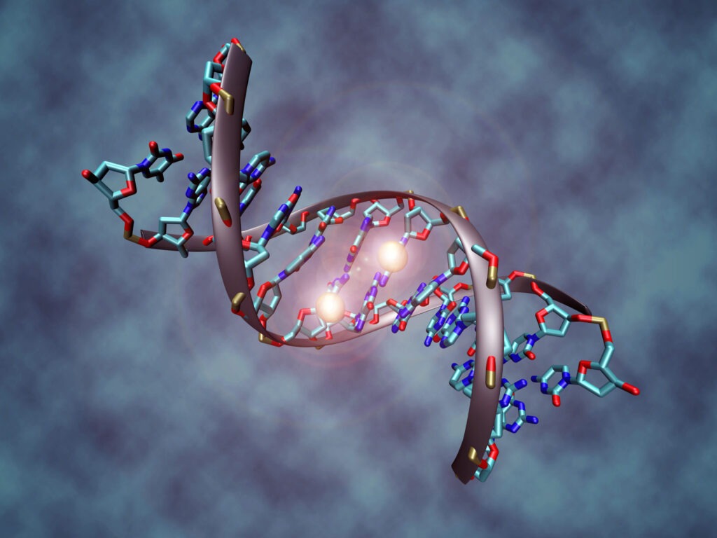 Nucleic Acid and Gene Therapies in Neuromuscular Disorders Market