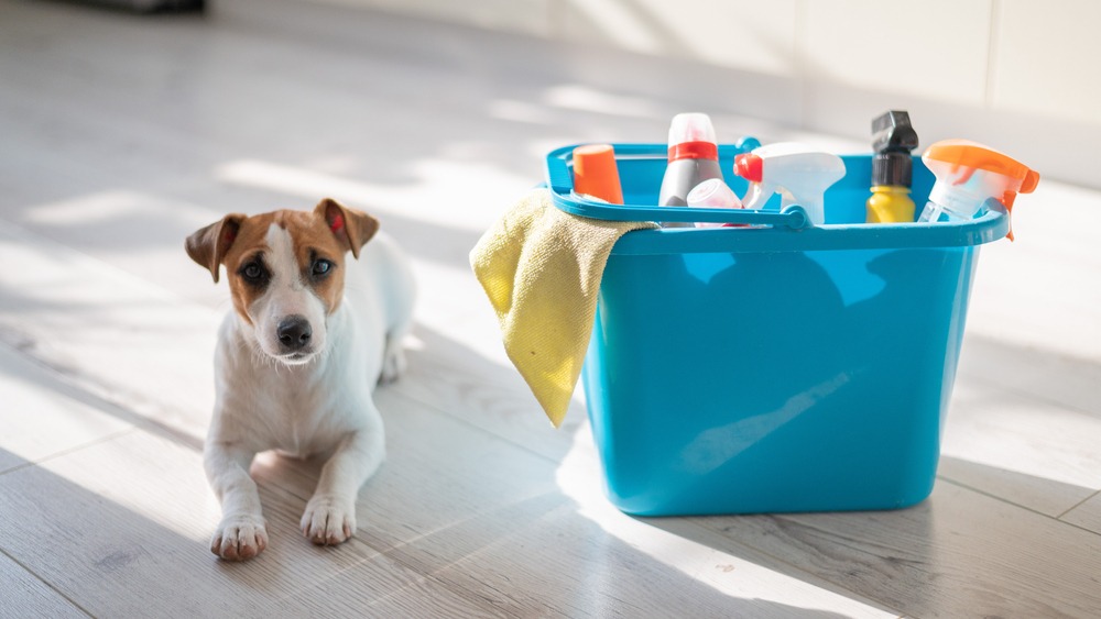 Pet Safe Cleaners Market